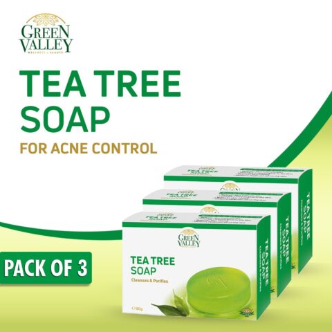 Tea Tree Anti Bacterial Soap (Pack of 3)